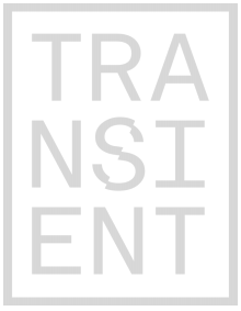 transientlog